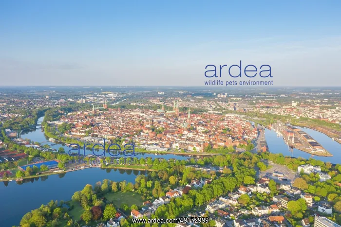 : Luebeck aerial : Luebeck aerial