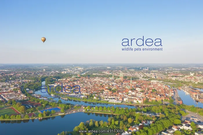 : Luebeck aerial : Luebeck aerial