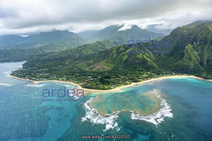 : Luftaufnahme der N? Pali Coast und des Haena State : Luftaufnahme der N? Pali Coast und des Haena State