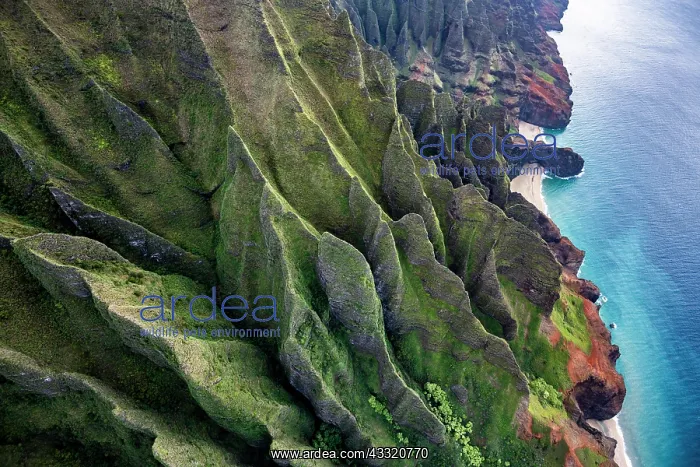 : Luftaufnahme der zerklufteten N? Pali Coast, Napali : Luftaufnahme der zerklufteten N? Pali Coast, Napali