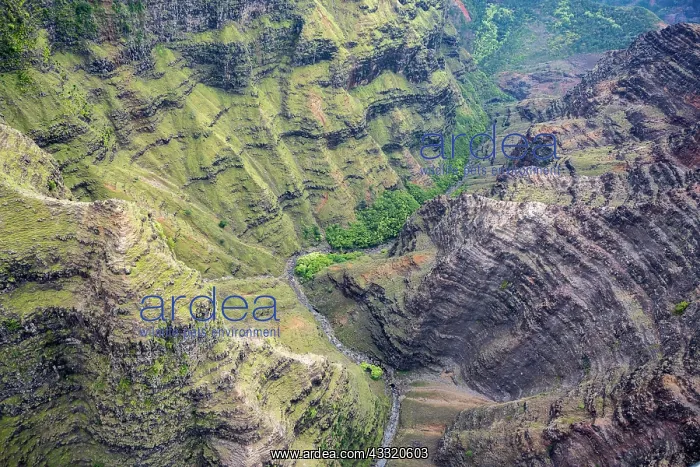 : Luftaufnahme des Waimea Canyon State Park, Insel : Luftaufnahme des Waimea Canyon State Park, Insel