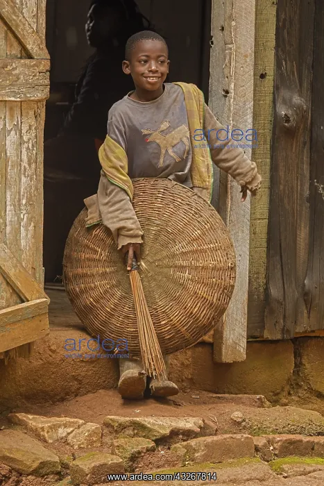 : Luhya boy, Kakamega forest, Kenya : Luhya boy, Kakamega forest, Kenya