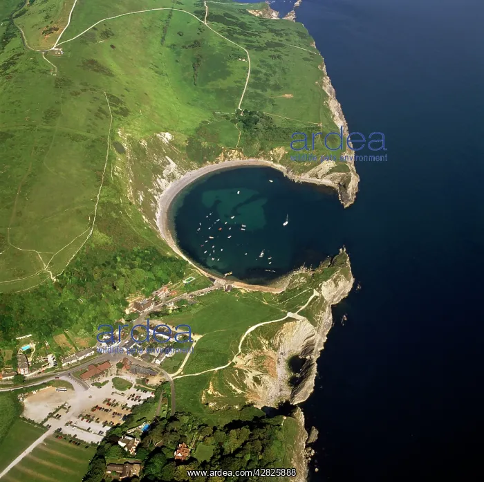  : Lulworth Cove, a natural landform harbour, near
