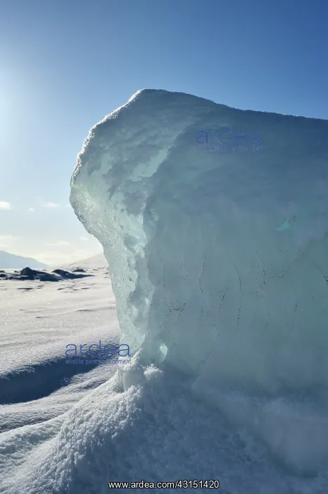 : Lump of ice at Spitsbergen : Lump of ice at Spitsbergen