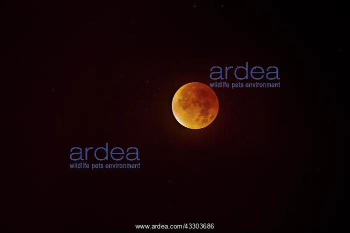 : Lunar Eclipse : Lunar Eclipse