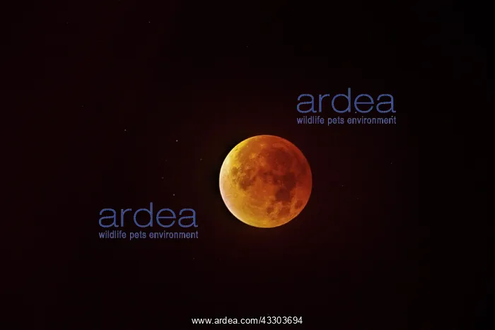 : Lunar Eclipse : Lunar Eclipse