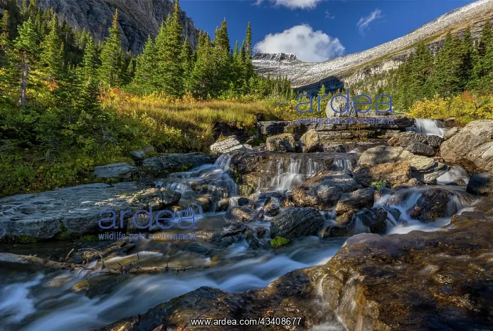  : Lunch Creek with Pollock Mountain in Glacier National