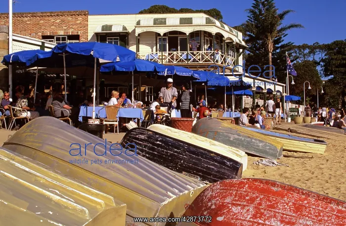 : Lunch at DoyleIs, Watsons Bay Sydney : Lunch at DoyleIs, Watsons Bay Sydney