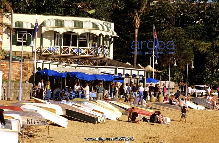 : Lunch at DoyleIs on Watsons Bay Sydney : Lunch at DoyleIs on Watsons Bay Sydney