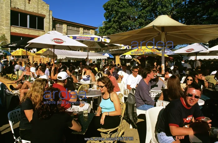 : Lunch at the pub : Lunch at the pub