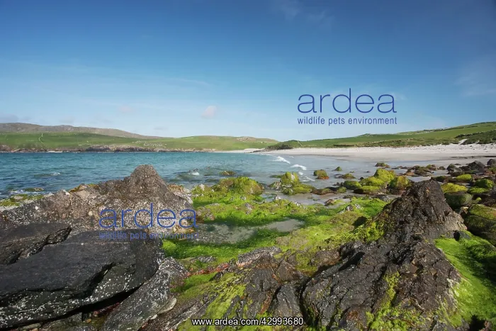  : Lunda Wick Bay