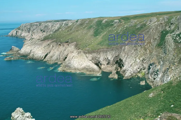 : Lundy Island - JennyIs Cove, Bristol Channel : Lundy Island - JennyIs Cove, Bristol Channel