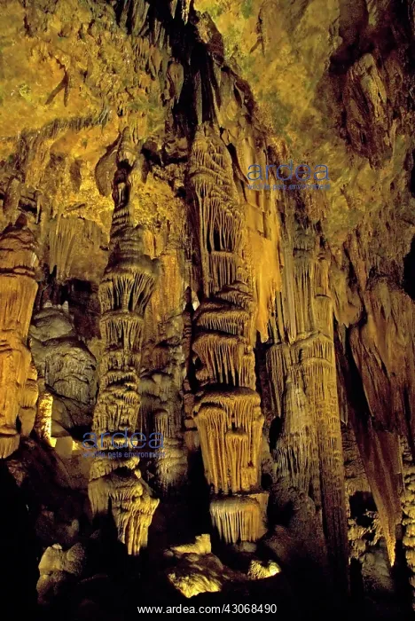 : Luray Caverns : Luray Caverns