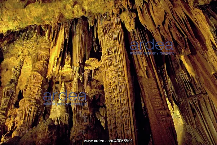  : Luray Caverns