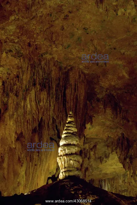  : Luray Caverns