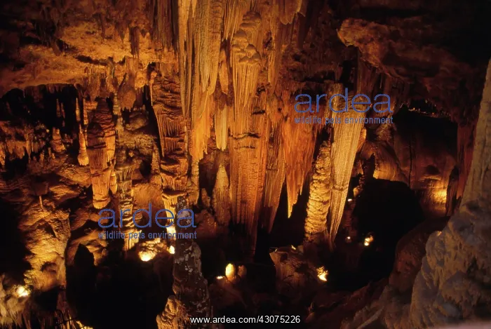 : Luray Caverns : Luray Caverns
