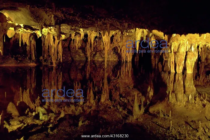 : Luray Caverns : Luray Caverns