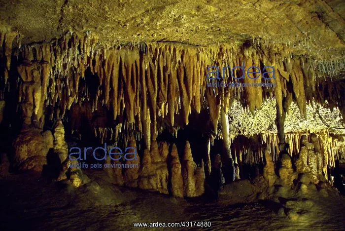  : Luray Caverns