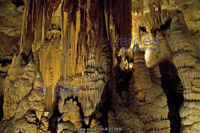  : Luray Caverns