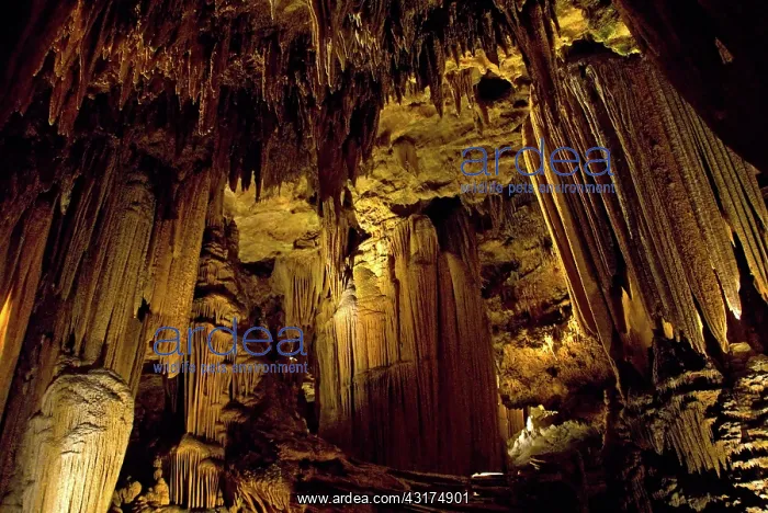 : Luray Caverns : Luray Caverns