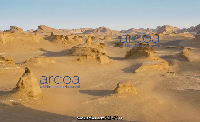  : Lut Desert (Dasht-e Lut) Iran