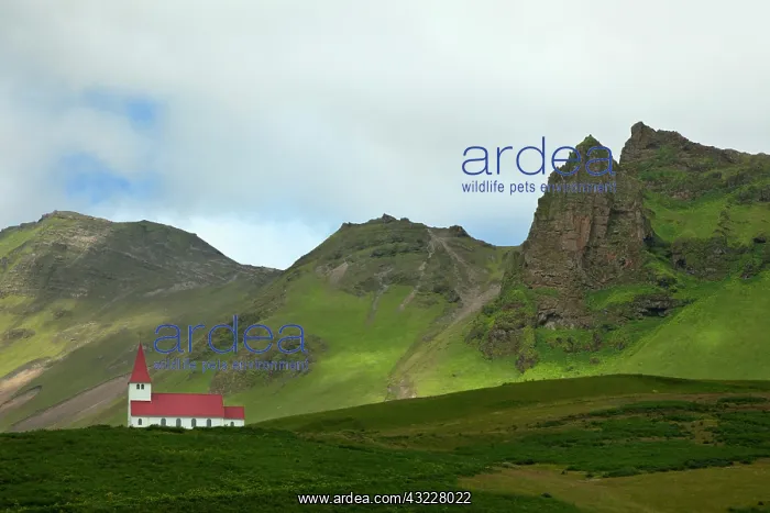: Lutheran Church and mountains, Iceland : Lutheran Church and mountains, Iceland