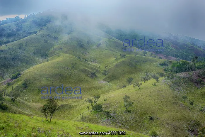 : Luwkangule Plateau : Luwkangule Plateau