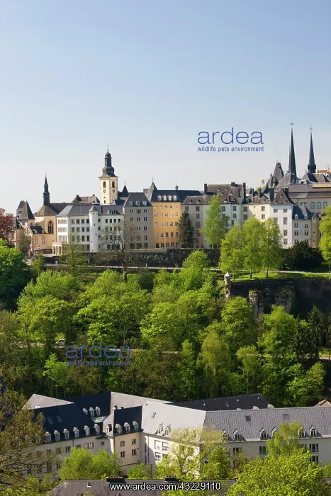 : Luxembourg, Luxembourg City. View of upper : Luxembourg, Luxembourg City. View of upper