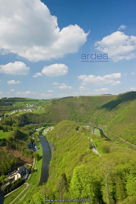 : Luxembourg, Sure River Valley. Bourscheid : Luxembourg, Sure River Valley. Bourscheid