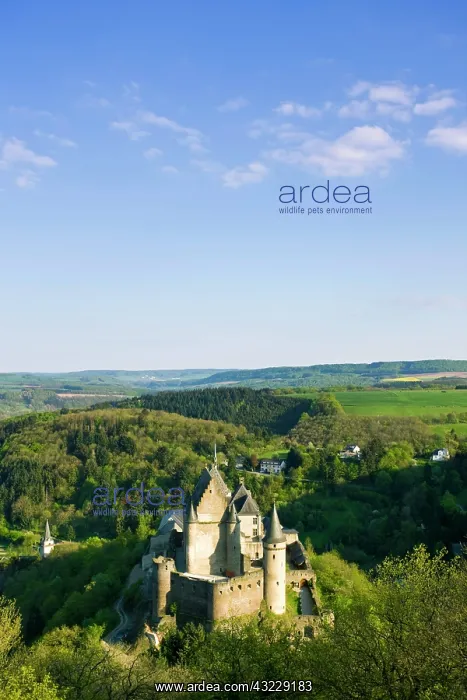 : Luxembourg, Vianden. Vianden Chateau (b : Luxembourg, Vianden. Vianden Chateau (b
