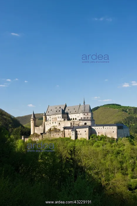 : Luxembourg, Vianden. Vianden Chateau (b : Luxembourg, Vianden. Vianden Chateau (b