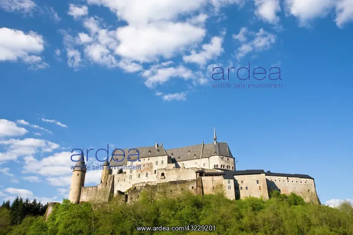 : Luxembourg, Vianden. Vianden Chateau (b : Luxembourg, Vianden. Vianden Chateau (b