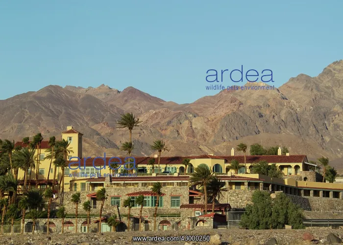 : The luxury Furnace Creek Inn against the background : The luxury Furnace Creek Inn against the background