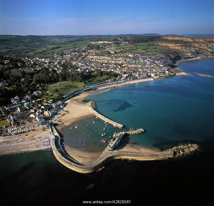 : Lyme Regis, showing The Cobb, the harbour wall : Lyme Regis, showing The Cobb, the harbour wall