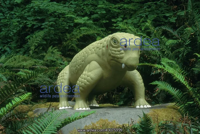 : Lystrosaurus : Lystrosaurus