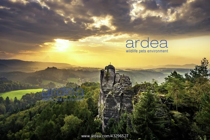 : M&, x1ae8e8; summit at sunrise, Schrammsteine around : M&, x1ae8e8; summit at sunrise, Schrammsteine around