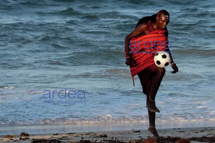 : Maasai Tribesman - rests playing football after : Maasai Tribesman - rests playing football after