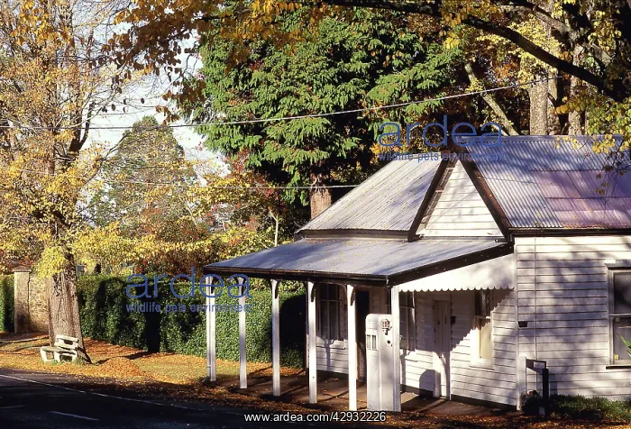 : Macedon township : Macedon township