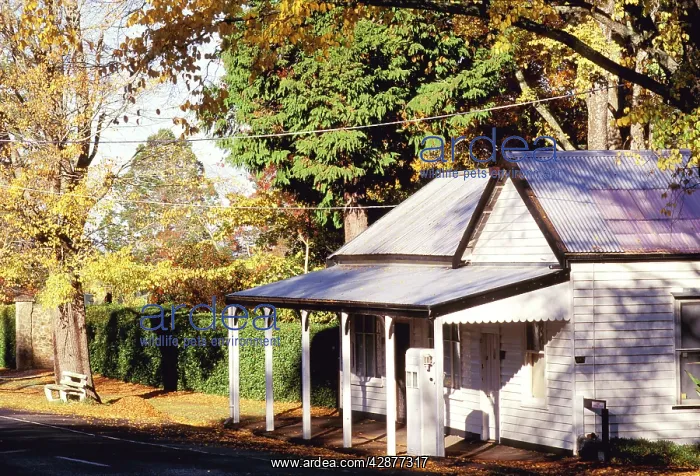 : Macedon township Victoria : Macedon township Victoria