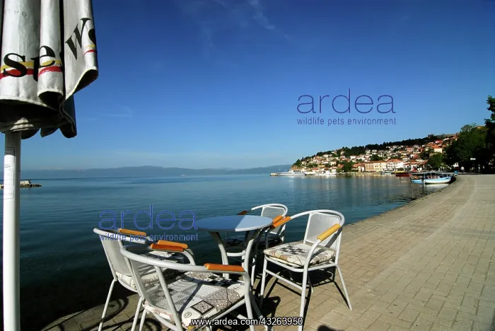 : Macedonia, Ohrid. Garden iron furnitures: : Macedonia, Ohrid. Garden iron furnitures: