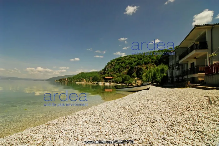 : Macedonia, Ohrid. Houses built on the shore : Macedonia, Ohrid. Houses built on the shore