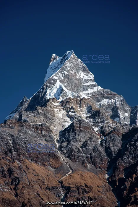 : Machapuchare, Himalaya, fish tail, 6997m, holy mountain : Machapuchare, Himalaya, fish tail, 6997m, holy mountain