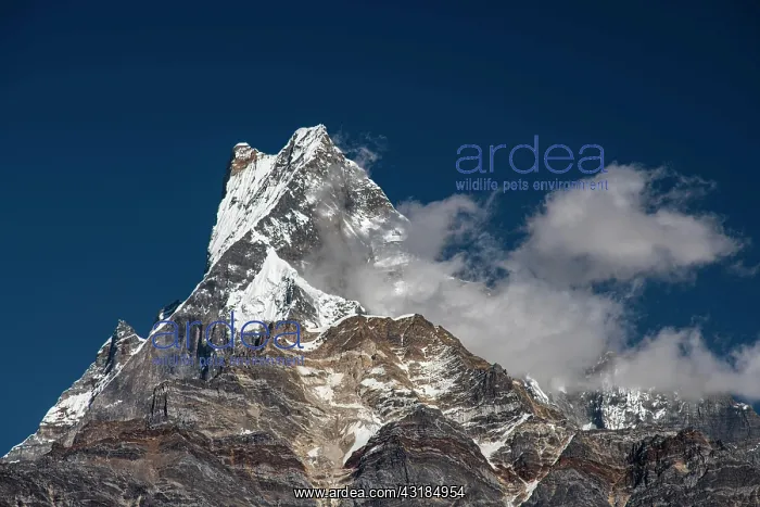 : Machapuchare, Himalaya, fish tail, 6997m, holy mountain : Machapuchare, Himalaya, fish tail, 6997m, holy mountain