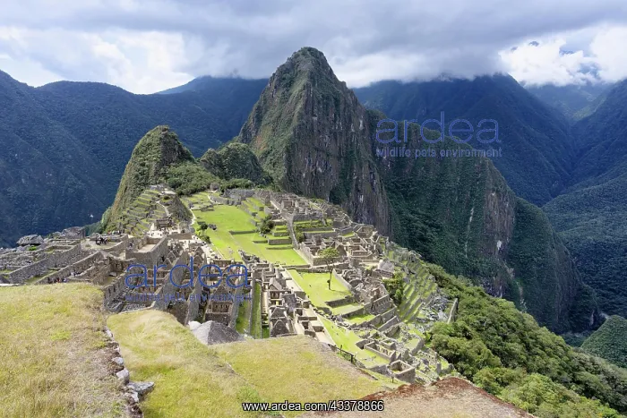 : Machu Picchu, Ruined city of the Incas with Mount : Machu Picchu, Ruined city of the Incas with Mount