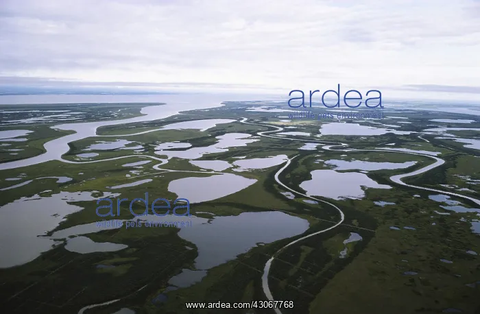  : Mackenzie River Delta