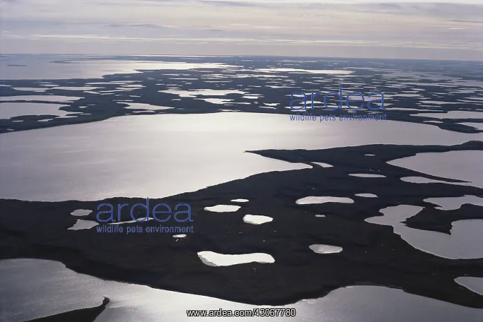  : Mackenzie River Delta