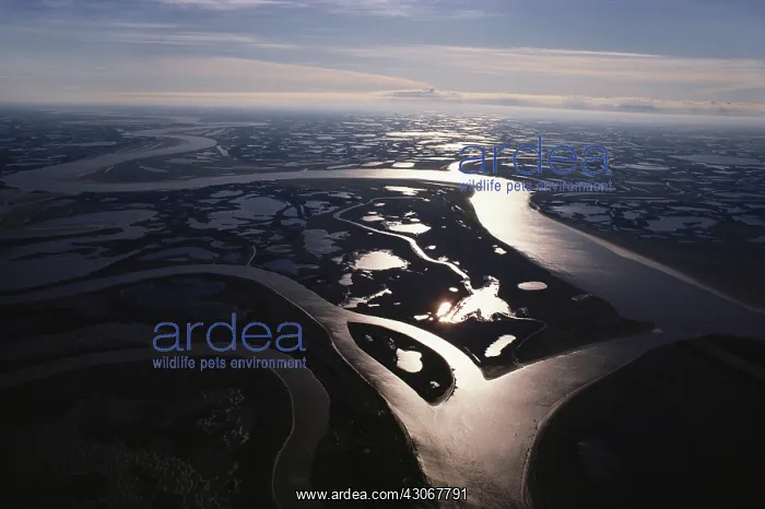 : Mackenzie River Delta : Mackenzie River Delta