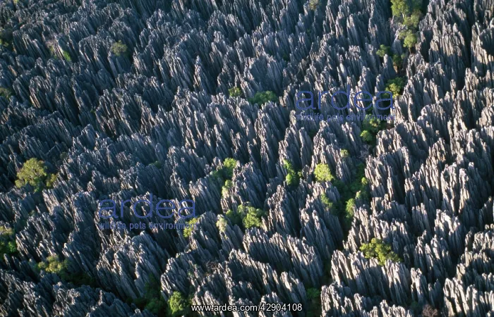 : Madagascar - Aerial of Tsingy de Bemahara National : Madagascar - Aerial of Tsingy de Bemahara National