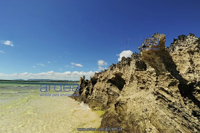 : Madagascar, Baie de Sakalava, Tsingy spike : Madagascar, Baie de Sakalava, Tsingy spike