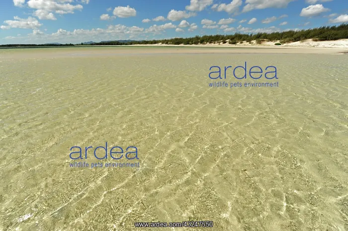 : Madagascar, Baie de Sakalava, view on the : Madagascar, Baie de Sakalava, view on the